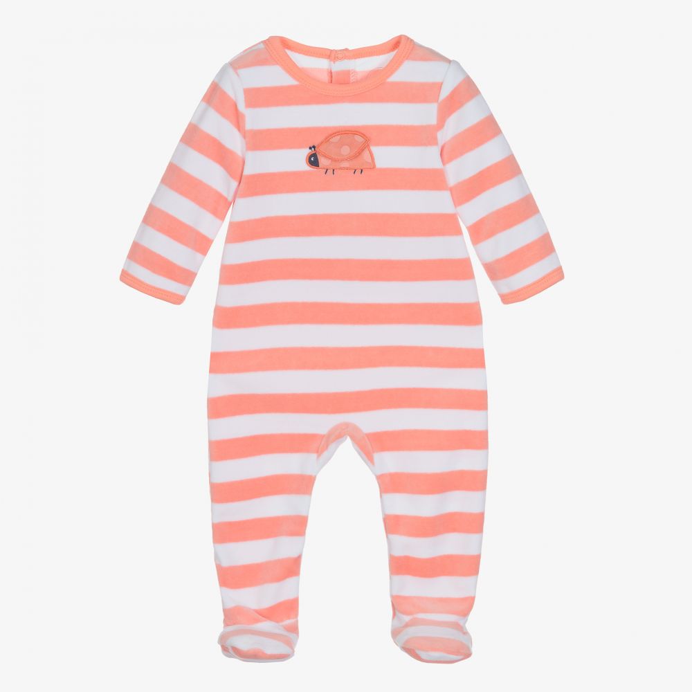 Ladybird babygrow shop
