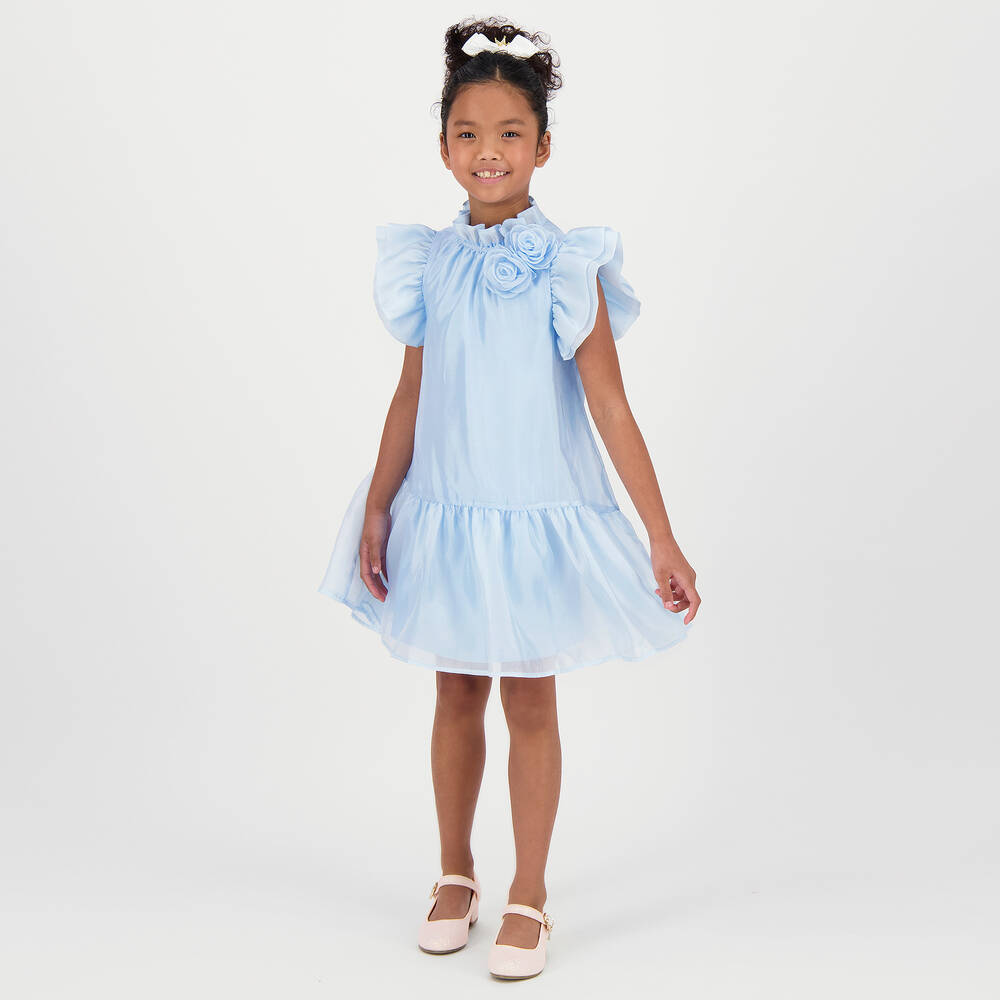 Angel's Face-Girls Blue Chiffon Rose Dress | Childrensalon Outlet