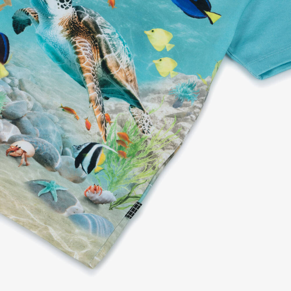 Molo-Boys Blue Organic Cotton Turtle T-Shirt | Childrensalon Outlet