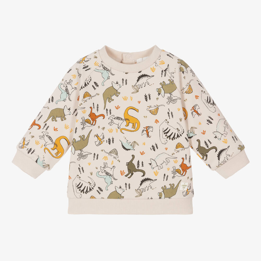 Boys dinosaur sweatshirt deals