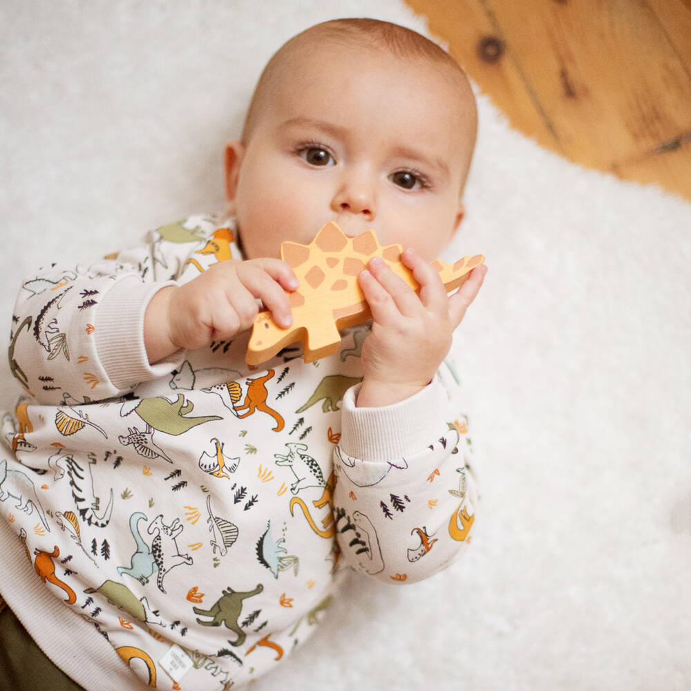 Carrement Beau Boys Organic Cotton Dinosaur Sweatshirt Childrensalon Outlet