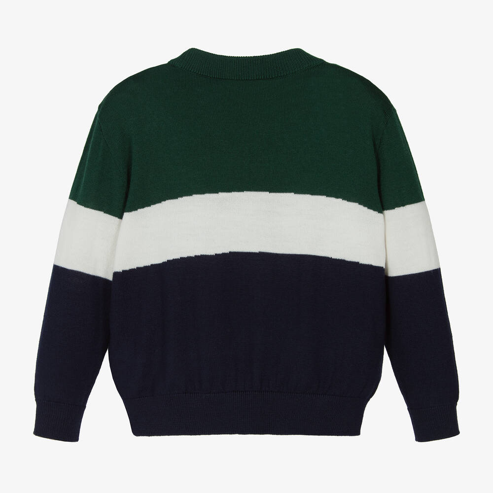 Dolce & Gabbana-Boys Green Striped Tiger Sweater  | Childrensalon Outlet