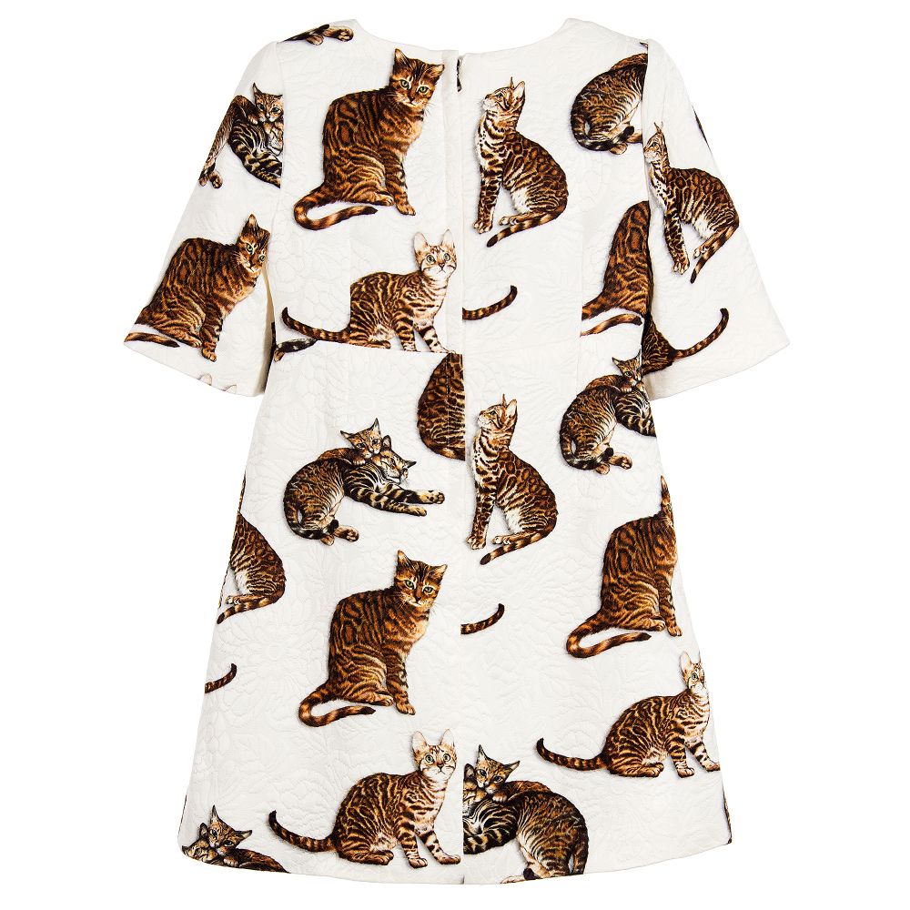 dolce & gabbana cat print dress