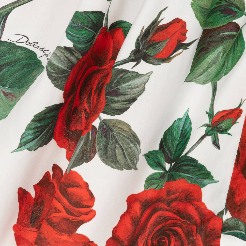 Dolce and gabbana red rose dress discount