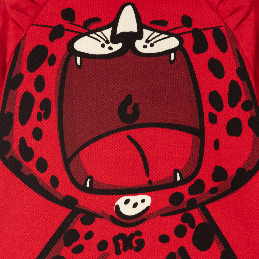 Dolce & Gabbana-Красный хлопковый свитшот с леопардом | Childrensalon Outlet