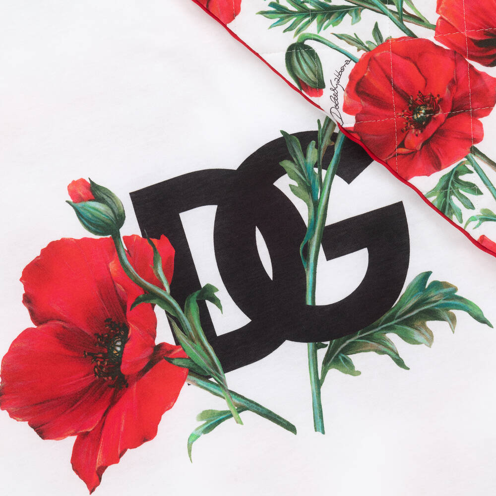 Dolce and hotsell gabbana baby blanket