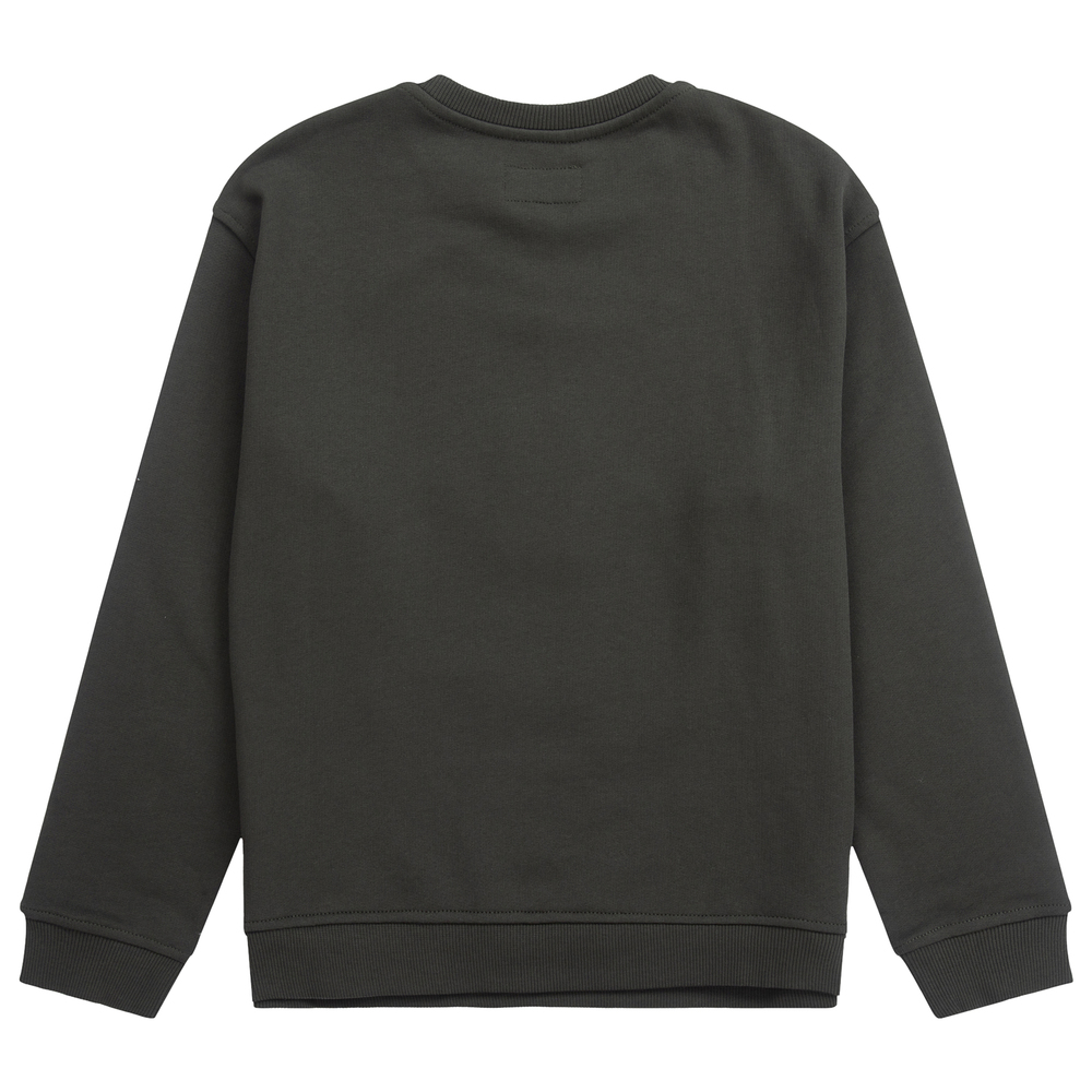 【関税&送料込】Emporio Armani Mint Green Cotton Sweatshirt 0400018046861_GREEN?wid=830&