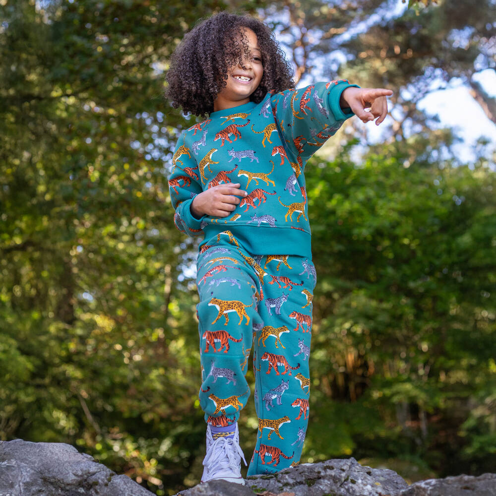 Frugi-Boys Blue Organic Cotton Big Cat Print Sweatshirt | Childrensalon Outlet