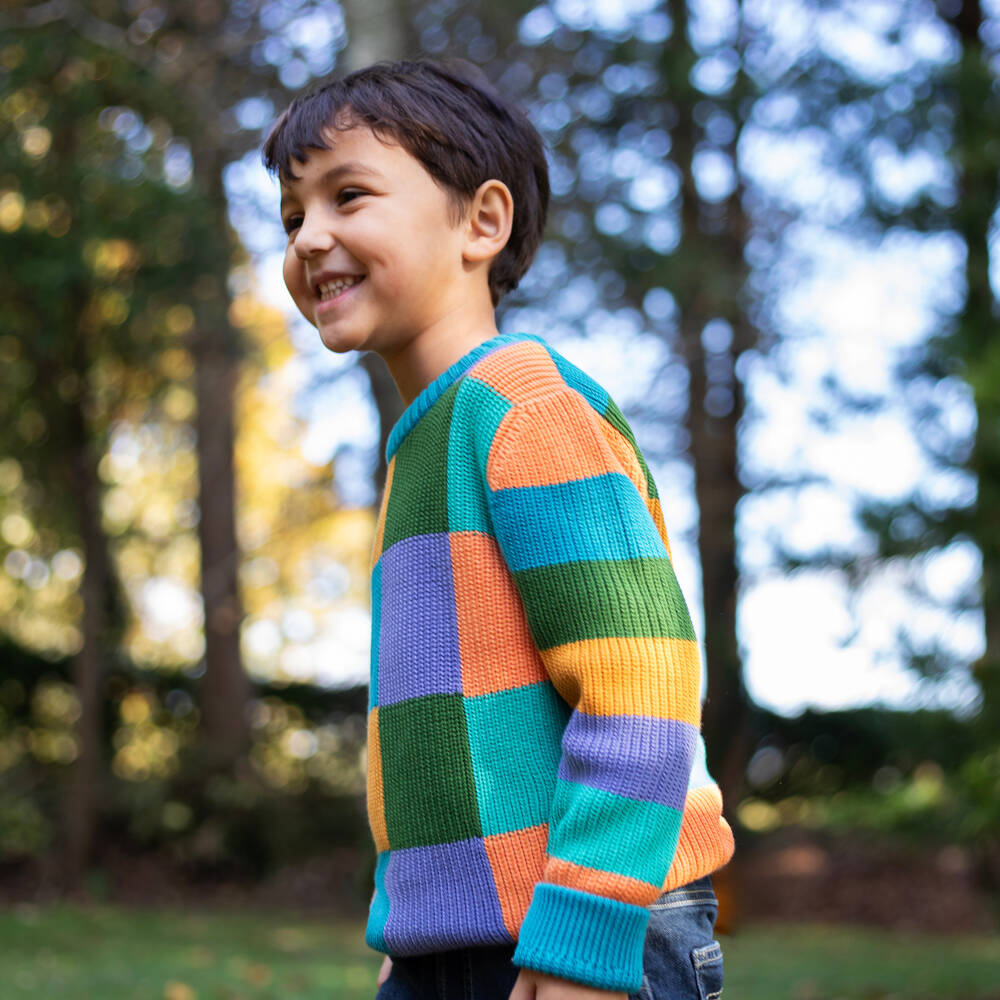 Frugi-Яркий свитер из органического хлопка для мальчиков | Childrensalon Outlet