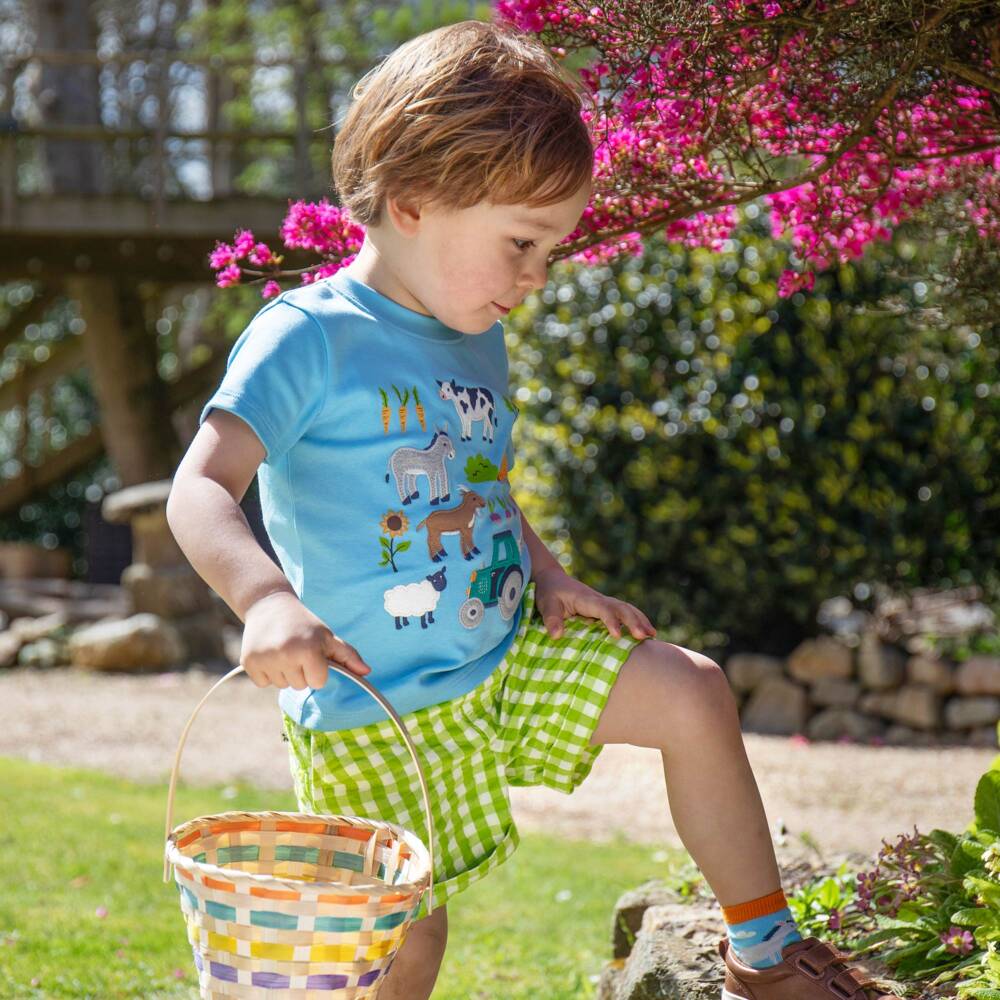 Frugi-Boys Verdant Check Seersucker Shorts | Childrensalon Outlet
