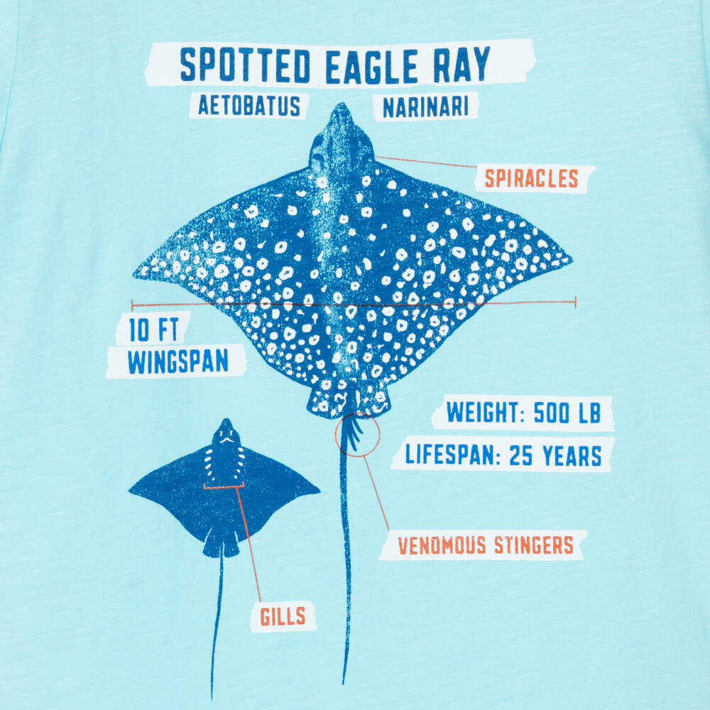 Hatley-Boys Aqua Blue Cotton Spotted Eagle Ray T-Shirt | Childrensalon Outlet