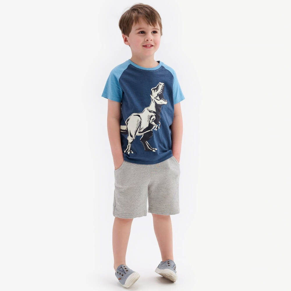 Hatley-Boys Blue Cotton Dinosaur T-Shirt | Childrensalon Outlet