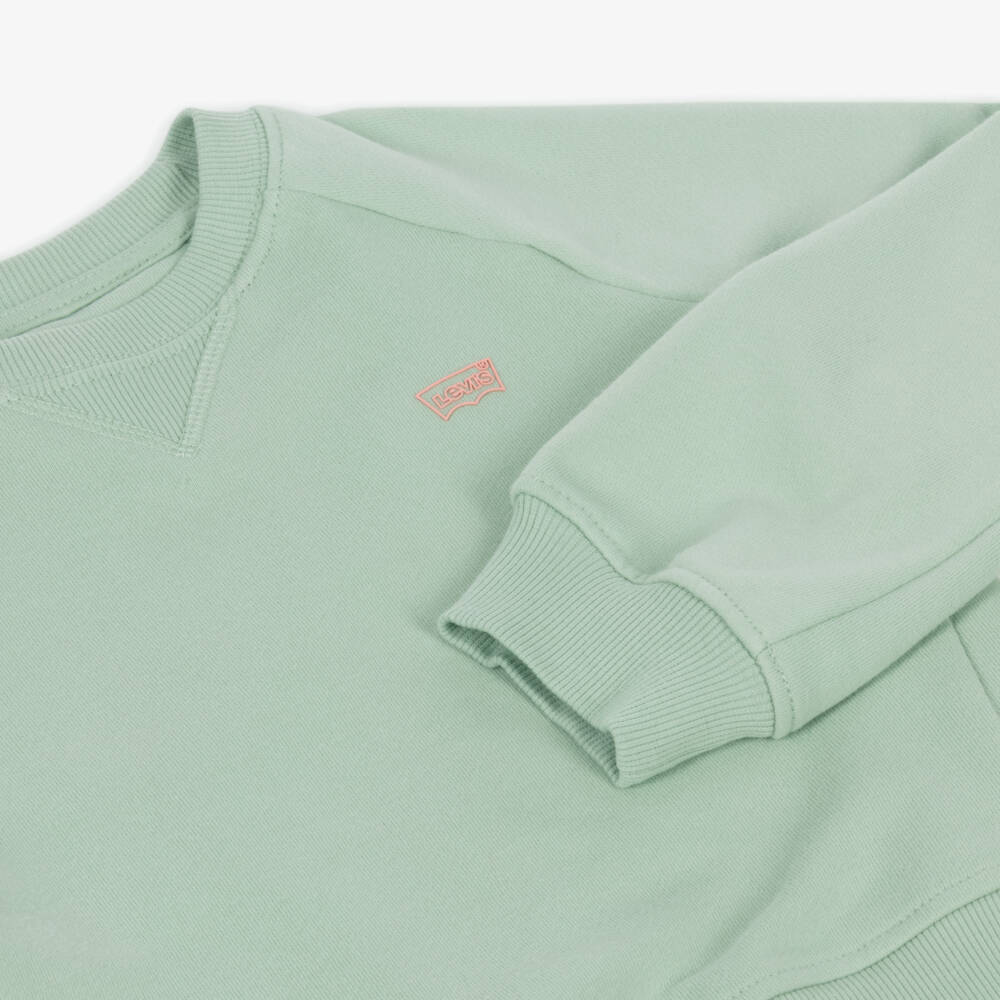Levi's-Girls Pastel Green Raglan Top | Childrensalon Outlet