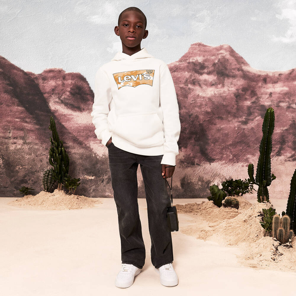 Boys levi hoody online
