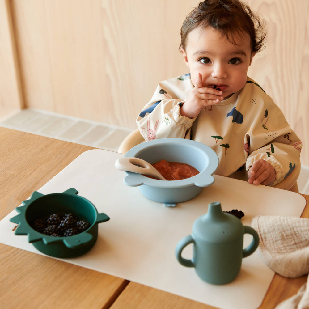 Liewood-Boys Dinosaur Silicone Bowl Set | Childrensalon Outlet