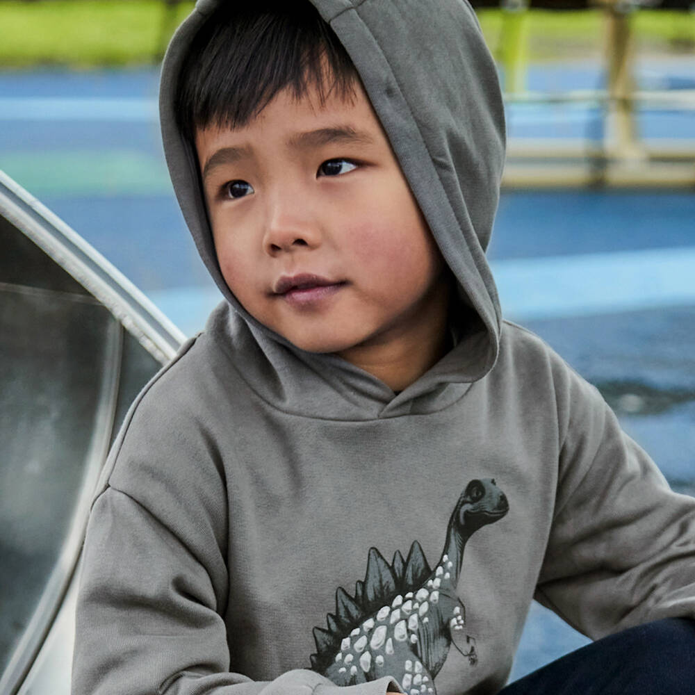 Mayoral-Уютный серый худи с динозавром для мальчиков | Childrensalon Outlet