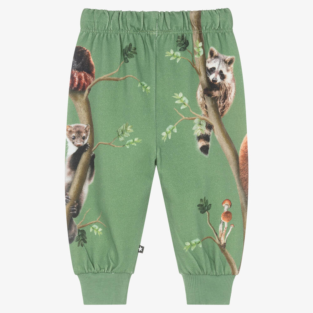 مولو-جوغرز قطن عضوي لون أخضر | Childrensalon Outlet