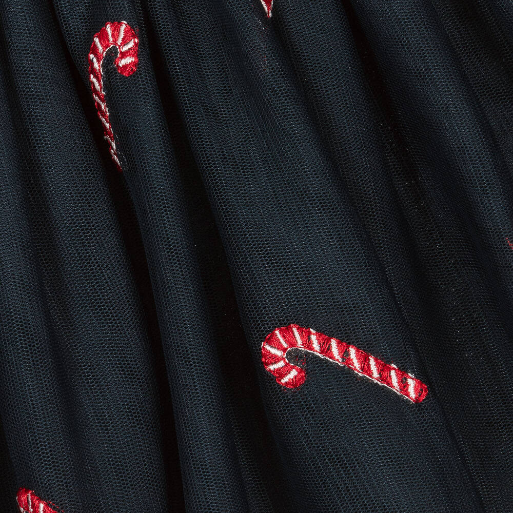 NAME IT-Girls Blue Tulle Candy Cane Skirt | Childrensalon Outlet