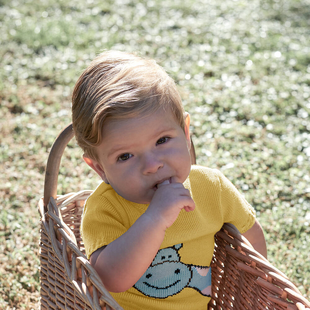 Paloma de la O-Желтый свитер с жирафом | Childrensalon Outlet