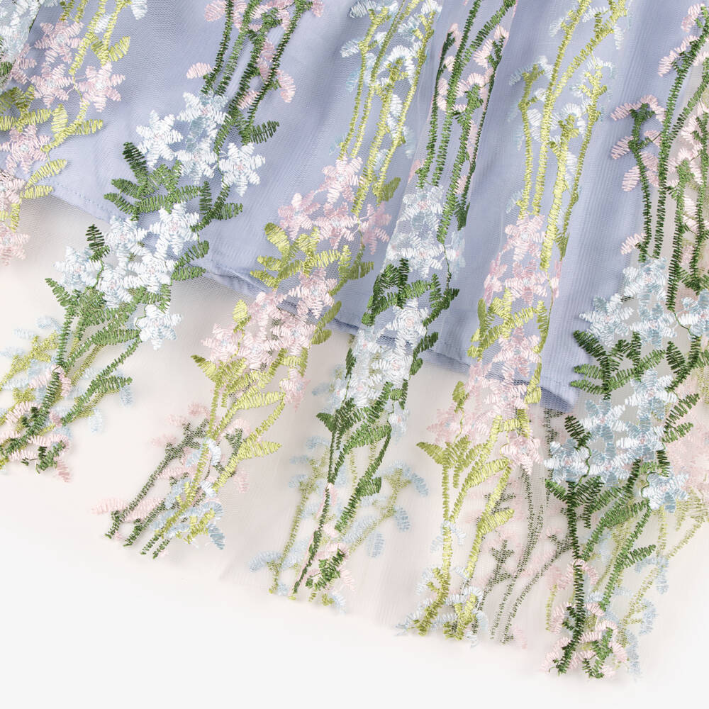 RaspberryPlum-Girls Blue Floral Embroidered Tulle Dress | Childrensalon Outlet