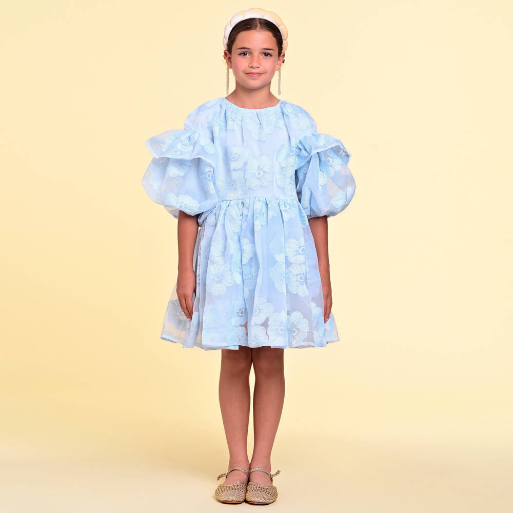 RaspberryPlum-Girls Tulle Blue Blooms Dress | Childrensalon Outlet