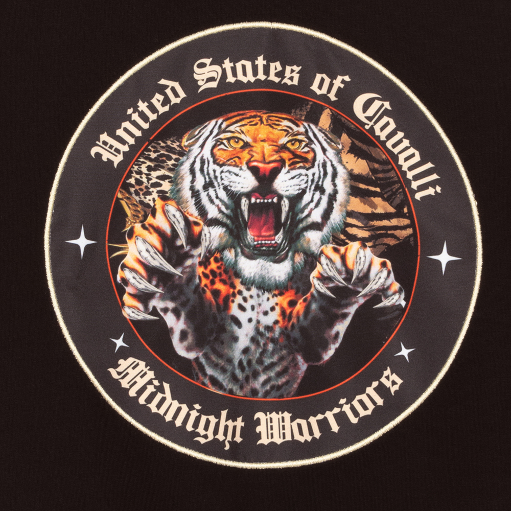 Boys discount tiger hoodie