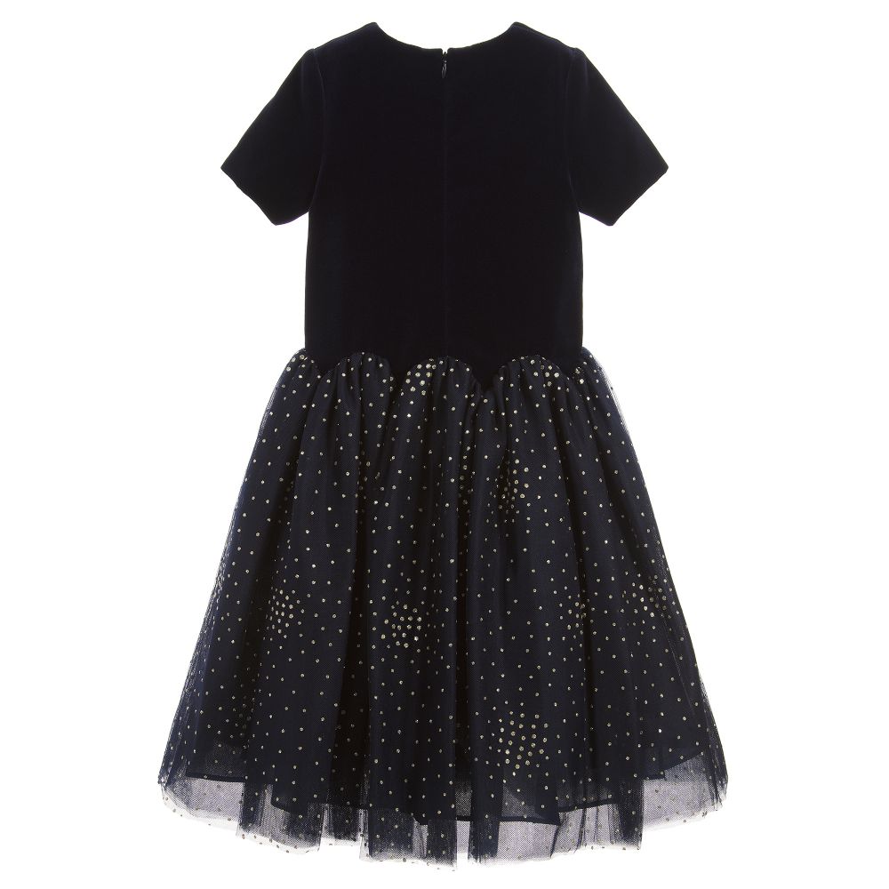 velvet and tulle dress