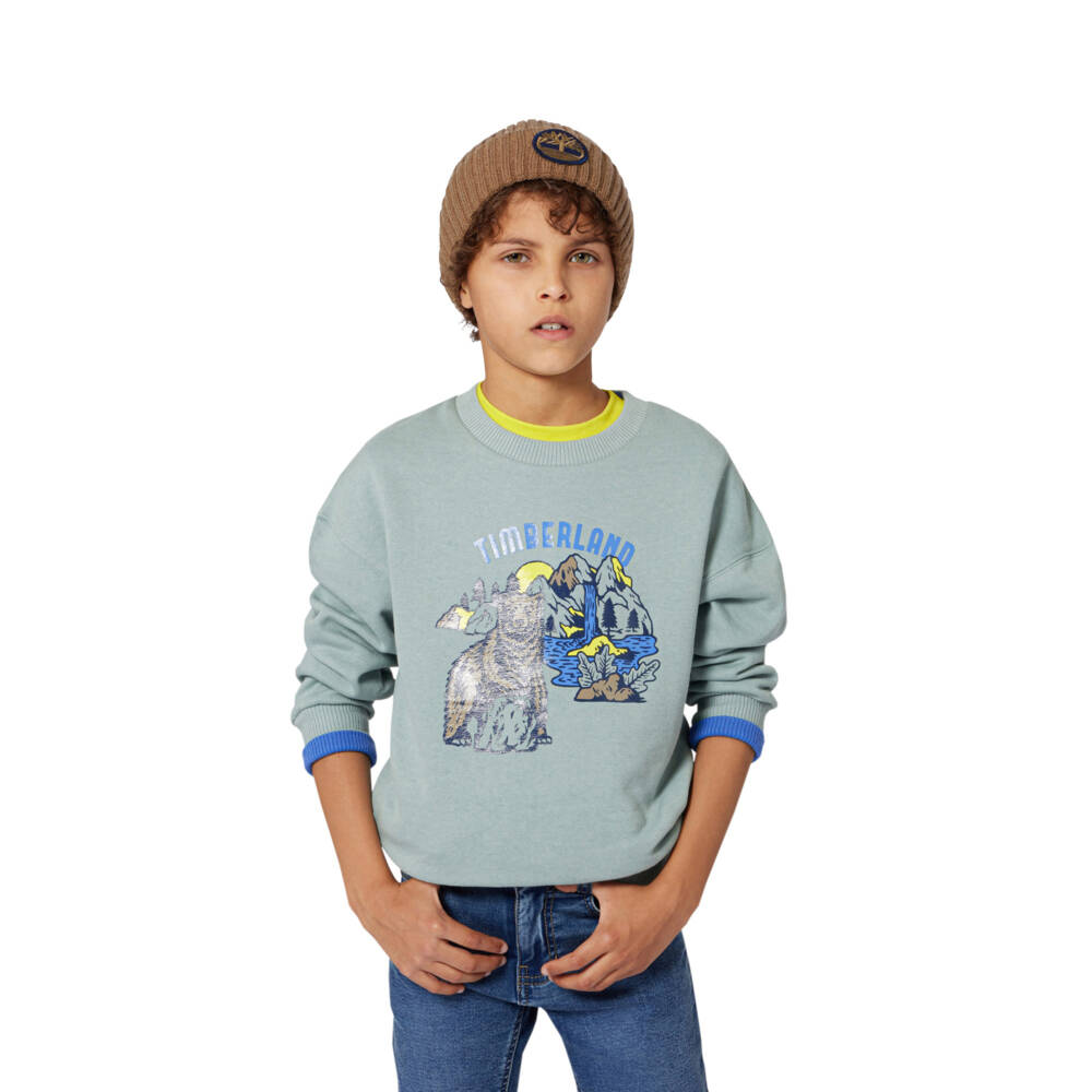 Timberland-Boys Green Bear Graphic Sweatshirt | Childrensalon Outlet