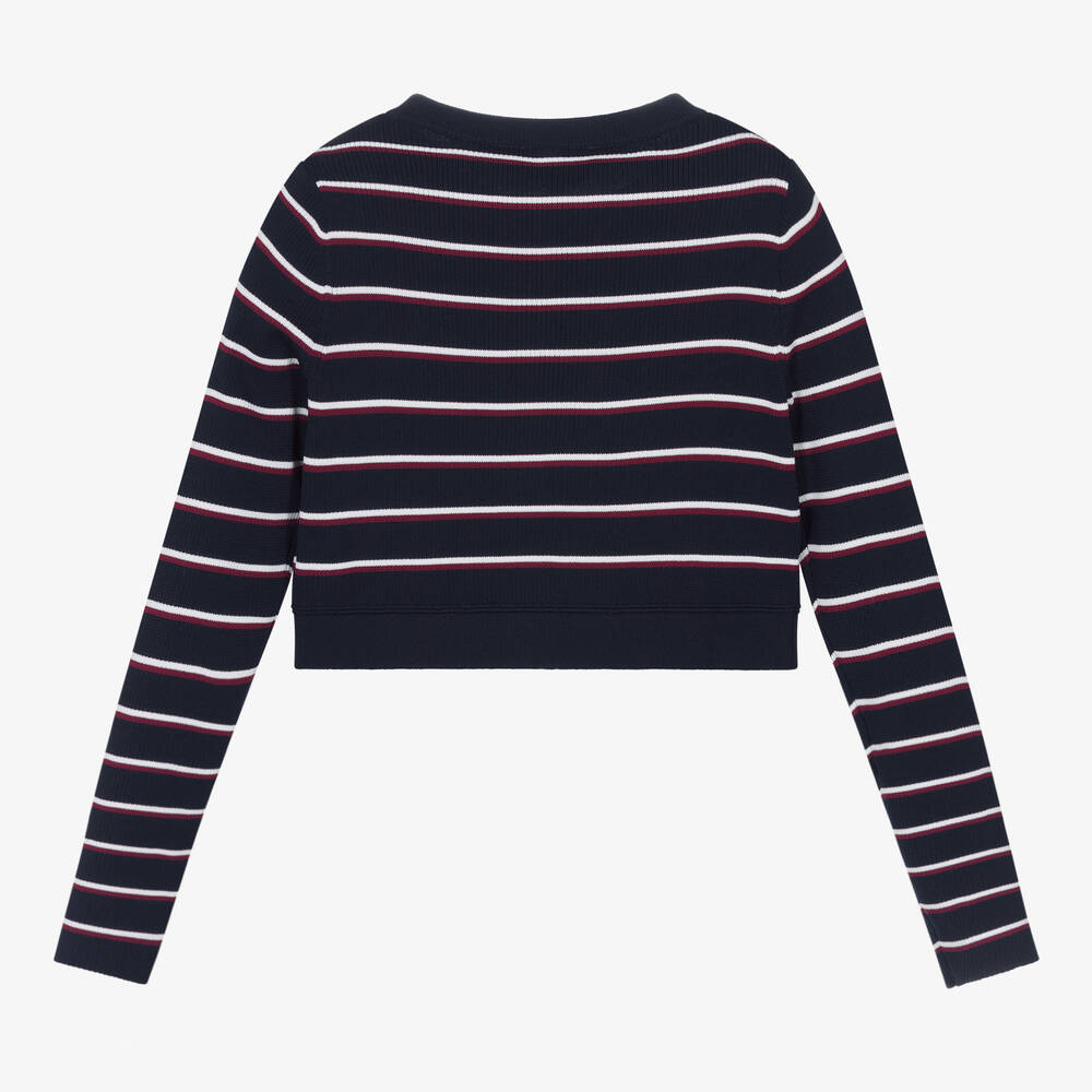 Tommy hilfiger cropped best sale sweater