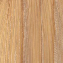 Angel's Face-Girls Sheer Gold Pleated Skirt | Childrensalon Outlet