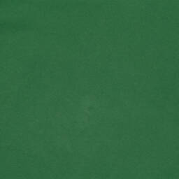 BOSS-Preloved Boys Green Cotton Polo Shirt (12 years) | Childrensalon Outlet