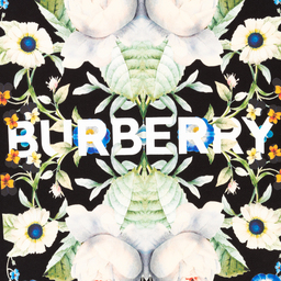 Burberry-Black Cotton Logo Sweatshirt | Childrensalon Outlet