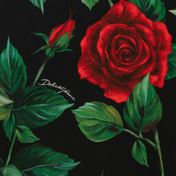 Dolce & Gabbana-Teen Girls Black & Red Rose Cotton Dress | Childrensalon Outlet