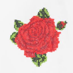  دولتشي آند غابانا-بلوز قطن بوبلين مطرز لون أبيض وأحمر للبنات | Childrensalon Outlet