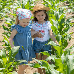 Dr. Kid-Girls Blue Chambray Shorts | Childrensalon Outlet