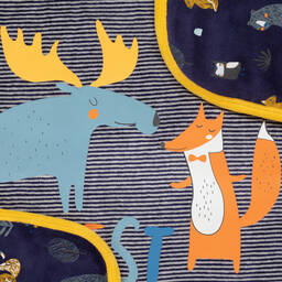 FS Baby-Baby Boys Forest Friends Blanket (80cm) | Childrensalon Outlet