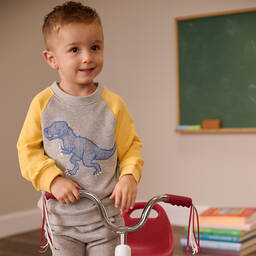 Hatley-Boys Grey & Yellow Dino Sweatshirt | Childrensalon Outlet