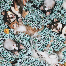 Molo-Girls Grey Organic Cotton Dress | Childrensalon Outlet