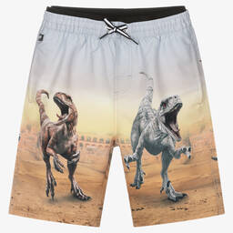 Molo-Teen Boys Dinosaur Swim Shorts | Childrensalon Outlet