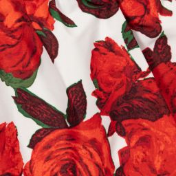 بان كون شوكولا-Green & Red Floral Dress | Childrensalon Outlet