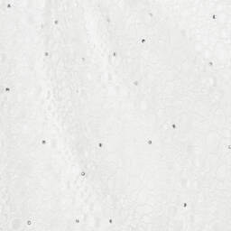 Sofija-فستان دانتيل عاجي للبنات مع قبعة | Childrensalon Outlet