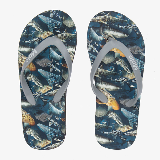 Molo-Blaue Flip-Flops mit Hai-Print  | Childrensalon Outlet