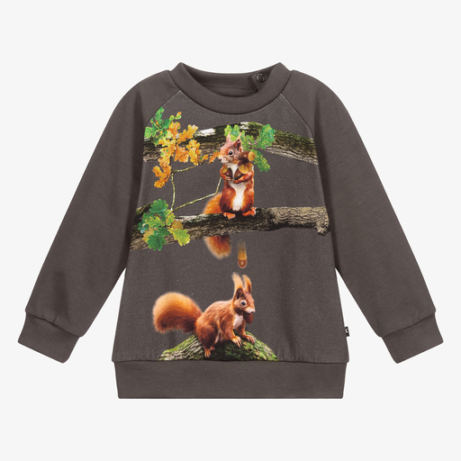 Molo-Graues Biobaumwoll-Sweatshirt | Childrensalon Outlet