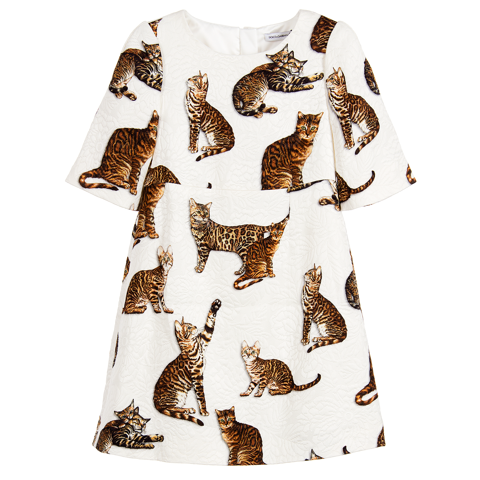 dolce gabbana cat dress