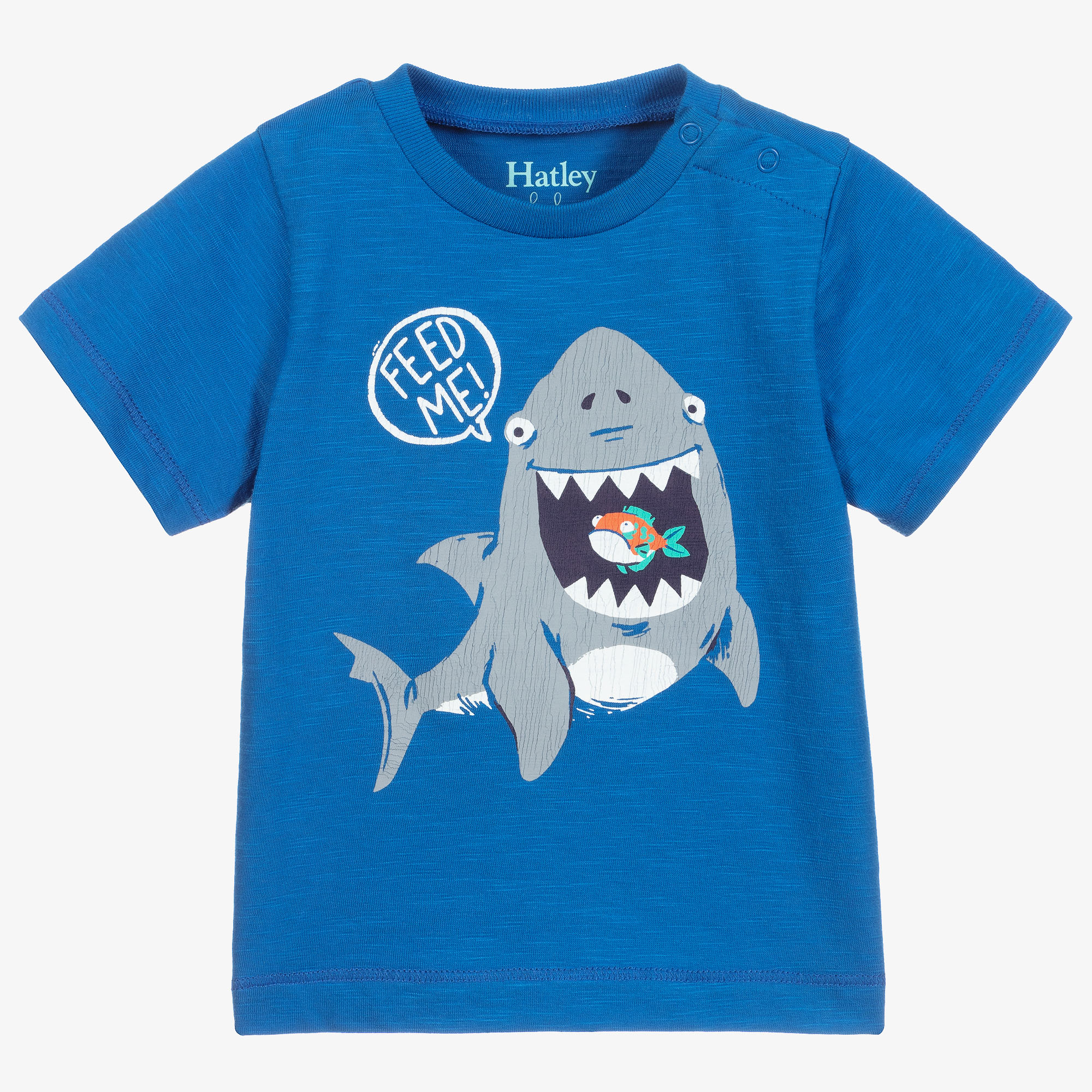 Hatley Boys Blue Cotton Shark T Shirt