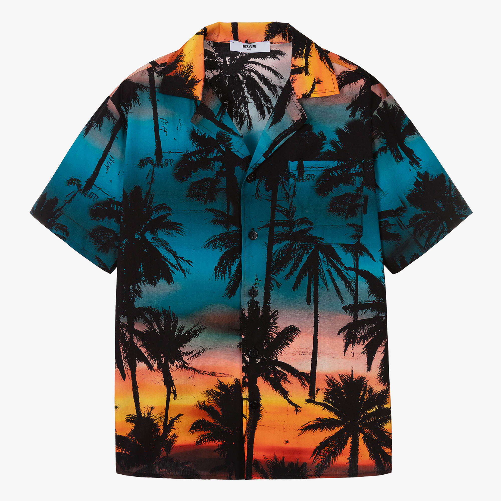 【HELLO SUNRISE】 HS Palm Tree Graphic Tee /追跡付 HELLO SUNRISE】 HS x Hank Palm Tree LS Tee /追跡付 (Hello