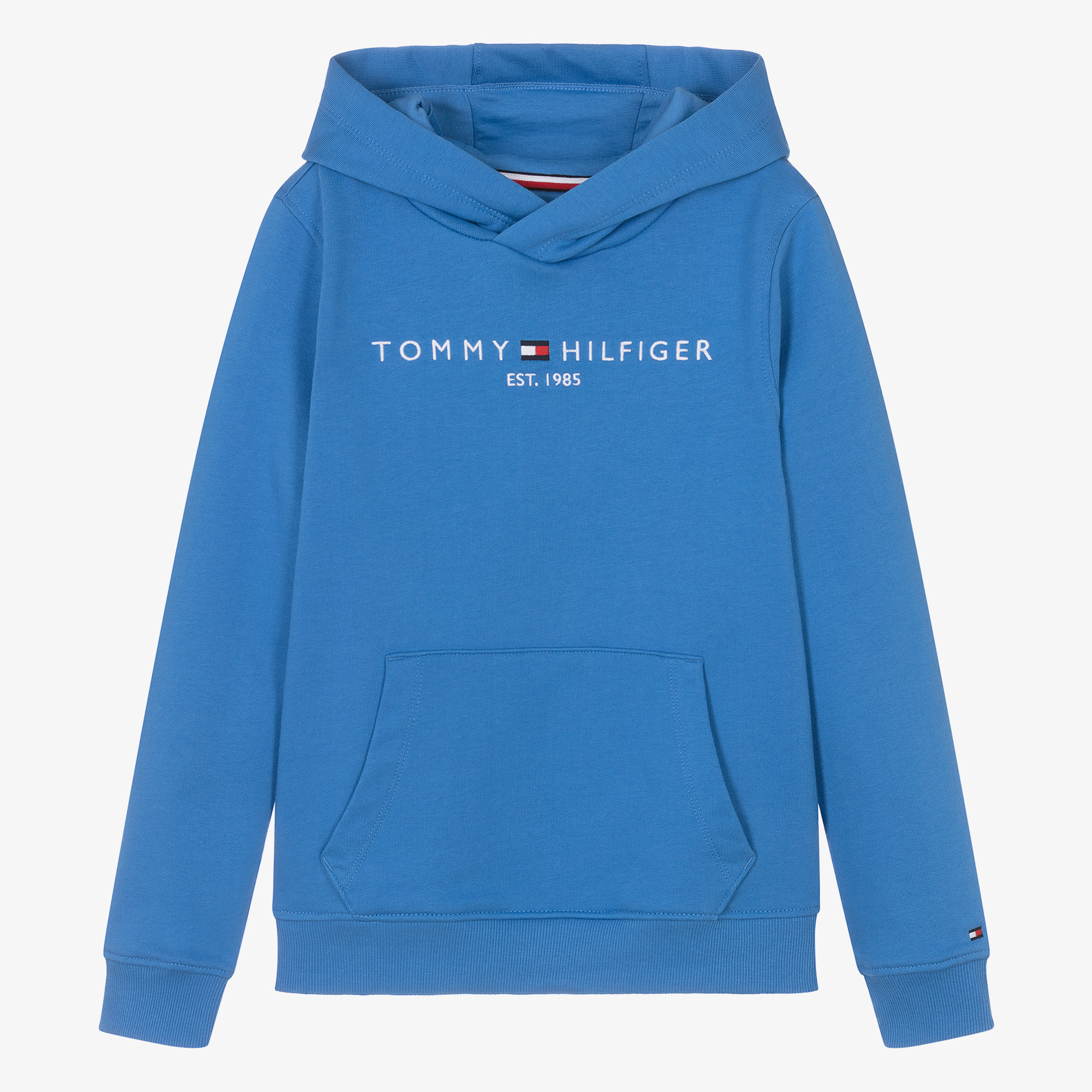 Tommy hilfiger flag logo hoodie best sale